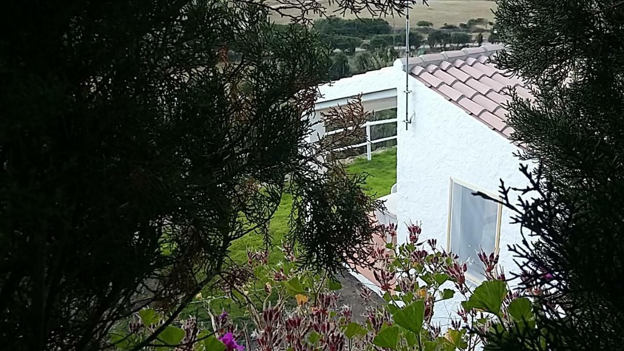 Agriturismo La Valletta Hotel Санта Тереза Галура Екстериор снимка