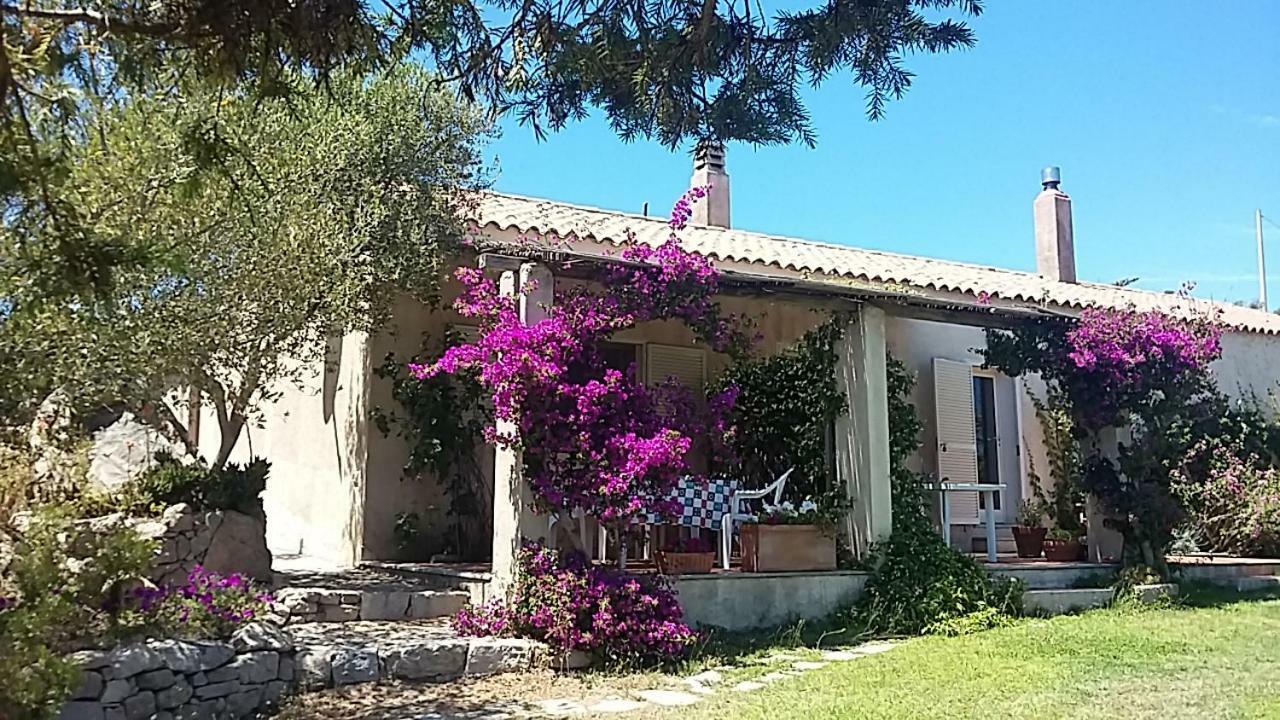 Agriturismo La Valletta Hotel Санта Тереза Галура Екстериор снимка