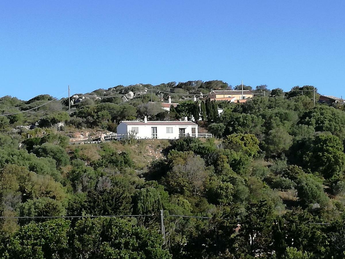 Agriturismo La Valletta Hotel Санта Тереза Галура Екстериор снимка