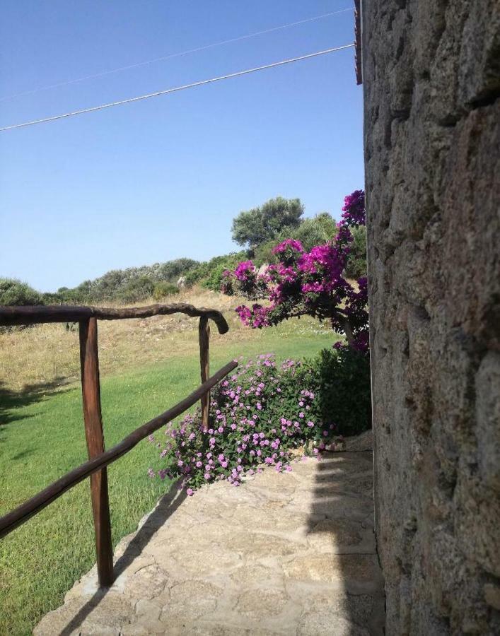 Agriturismo La Valletta Hotel Санта Тереза Галура Екстериор снимка