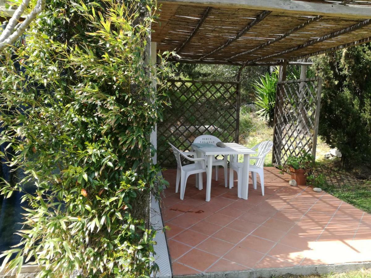 Agriturismo La Valletta Hotel Санта Тереза Галура Екстериор снимка
