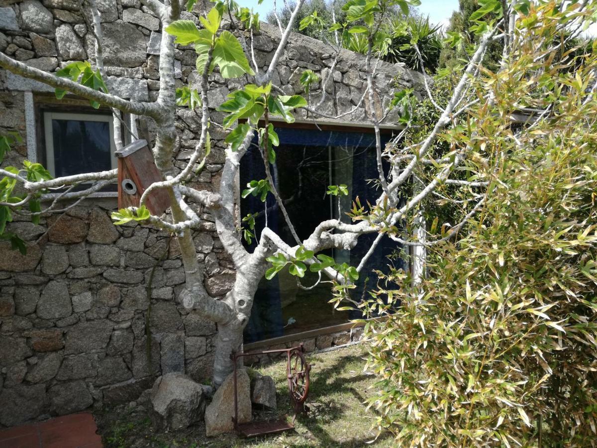 Agriturismo La Valletta Hotel Санта Тереза Галура Екстериор снимка